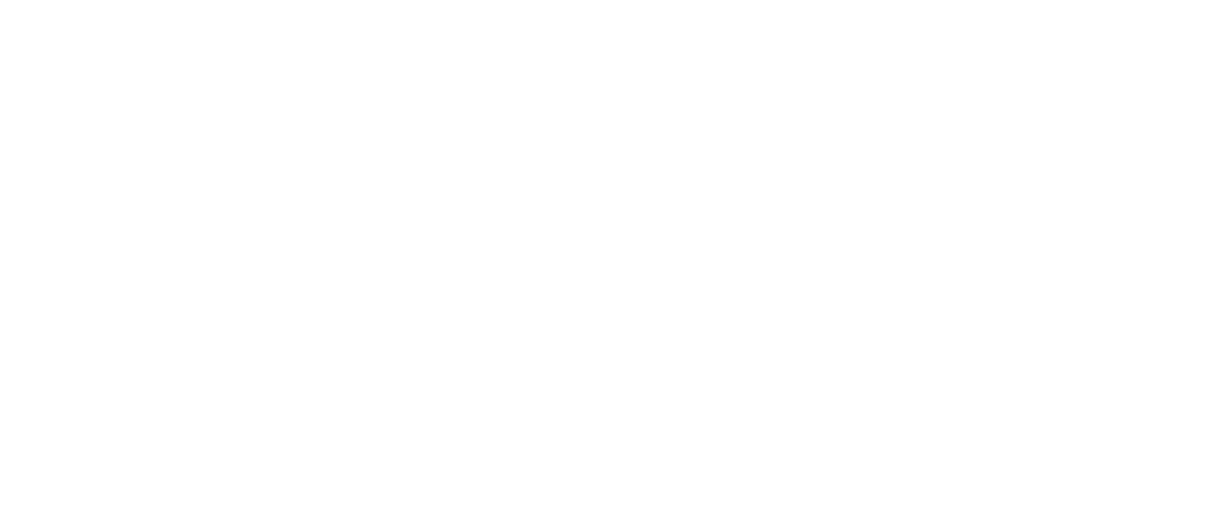 Healthy Food Icon